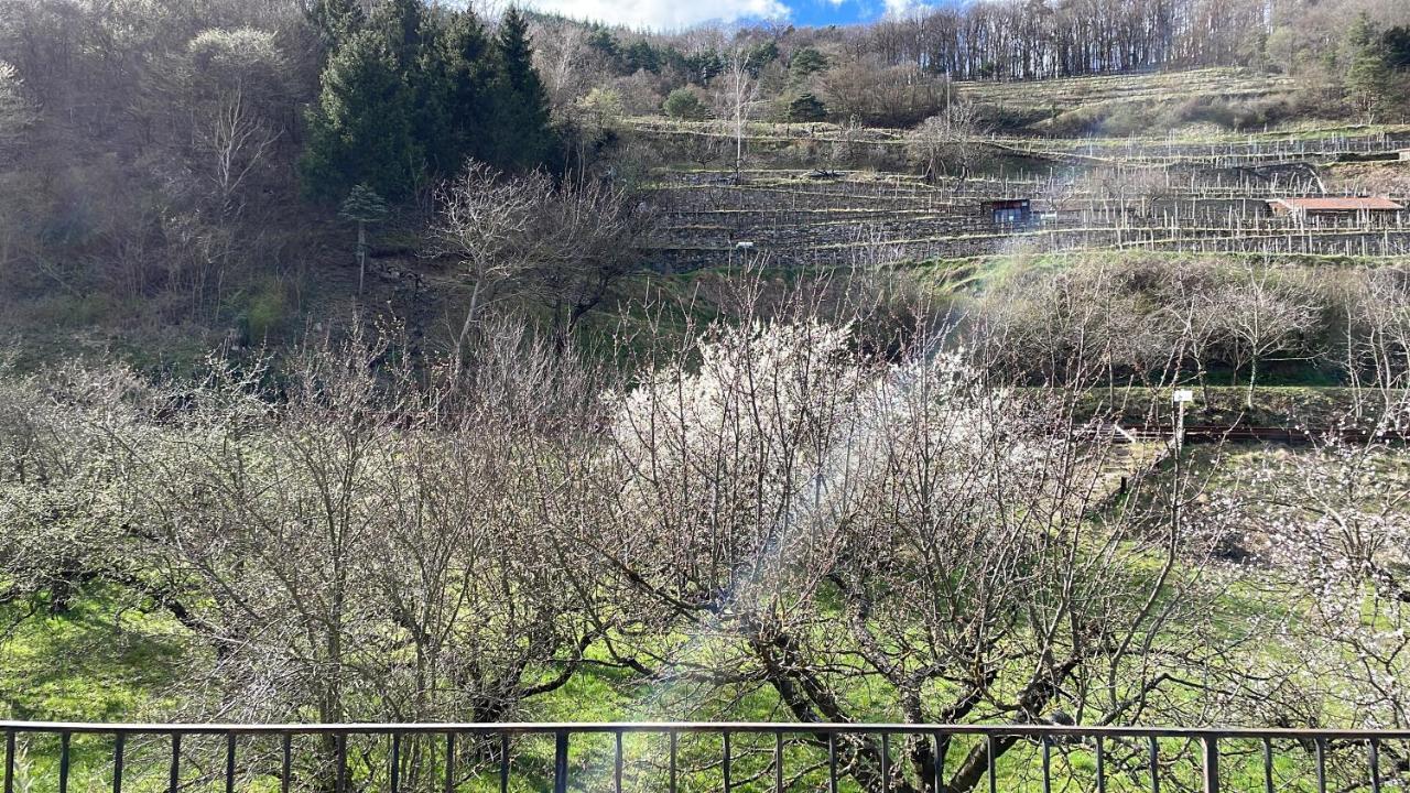 Top Ferienhaus Bei Spitz / Wachau Schwallenbach エクステリア 写真
