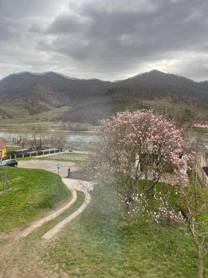 Top Ferienhaus Bei Spitz / Wachau Schwallenbach エクステリア 写真